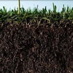 View Biosol Natural Organic Fertilizer